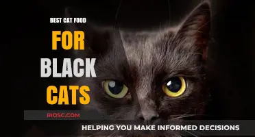 Purr-fect Nutrition: Unveiling the Best Cat Food for Your Sleek Black Feline Companion
