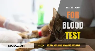 Optimal Feline Nutrition for Health Check-Ups: A Guide to the Best Cat Food for Blood Tests