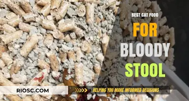 Top Picks for Cat Food to Help Manage Bloody Stool in Your Feline Friend