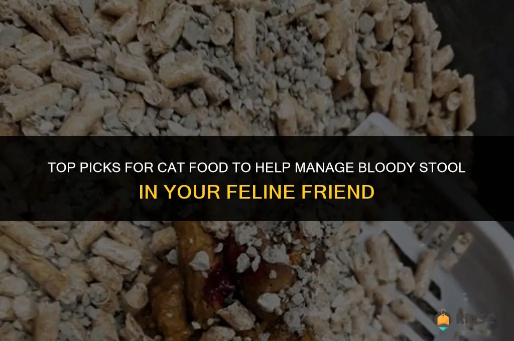 best cat food for bloody stool
