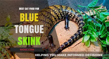 Nutrition for Your Blue Tongue Skink: Top Cat Food Picks