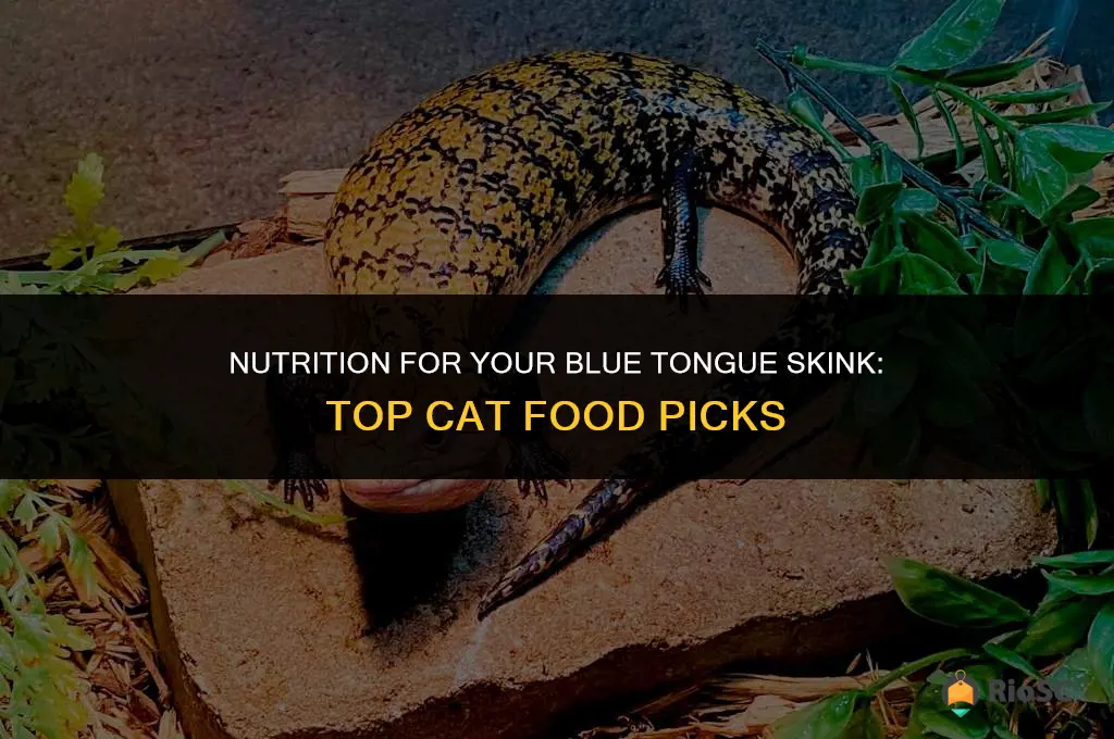 best cat food for blue tongue skink