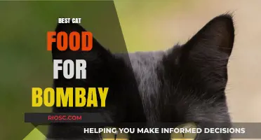 Purr-fect Nutrition: Unveiling the Best Cat Food for Bombay Cats