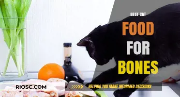 Strengthening Feline Frames: The Ultimate Guide to Bone-Boosting Cat Food