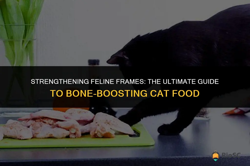 best cat food for bones