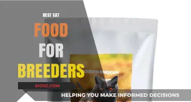 Top-Rated Cat Food for Breeders: Nourishing Your Feline Friends for Optimal Health and Growth