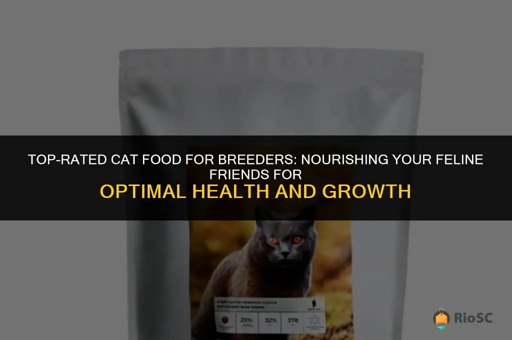 best cat food for breeders