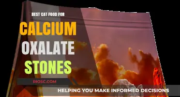 Feline Nutrition for Optimal Health: Best Cat Food Options to Prevent Calcium Oxalate Stones