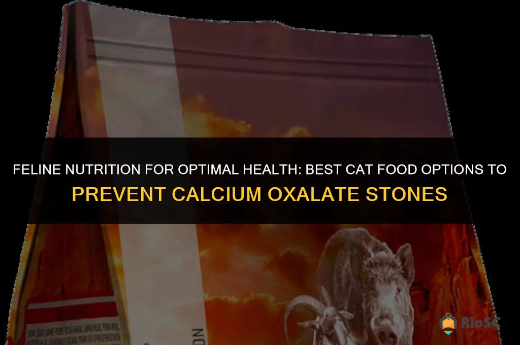 best cat food for calcium oxalate stones
