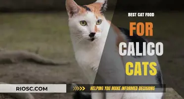 Purr-fect Nutrition: Tailoring the Best Diet for Your Calico Companion