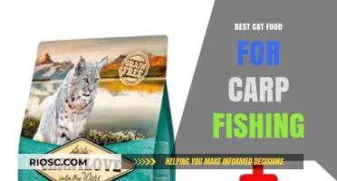 Top-Rated Cat Food for Carp Fishing: A Comprehensive Guide