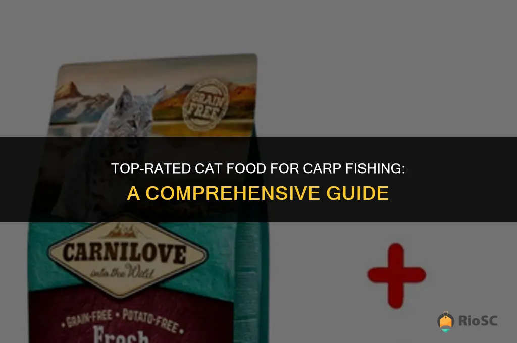 best cat food for carp fishing