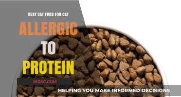 Navigating Protein Allergies in Cats: A Guide to the Best Hypoallergenic Cat Food Options