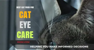 Nourishing Vision: The Ultimate Guide to Cat Food for Optimal Eye Health