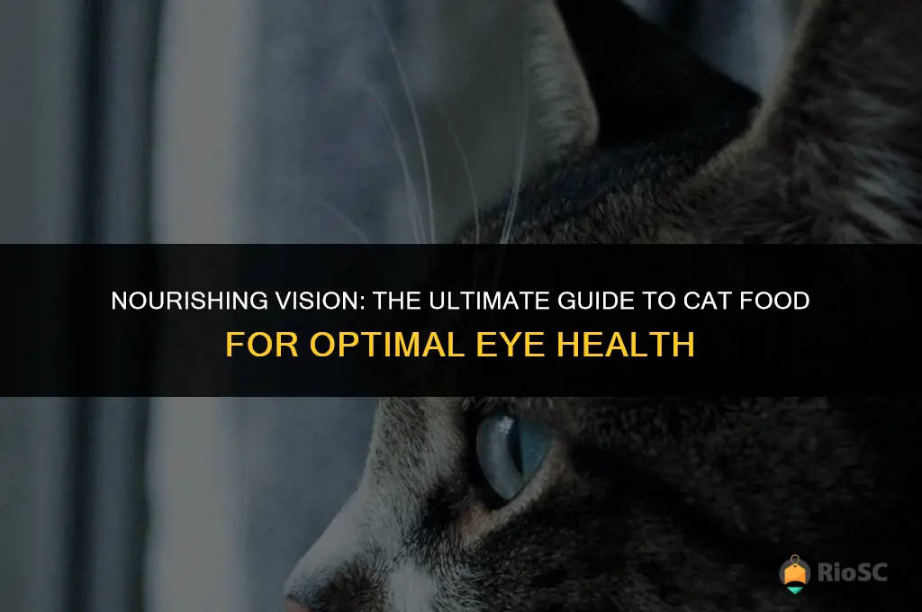best cat food for cat eye care