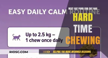 Top Picks for Easy-to-Chew Cat Food: A Guide for Feline Friends with Dental Challenges