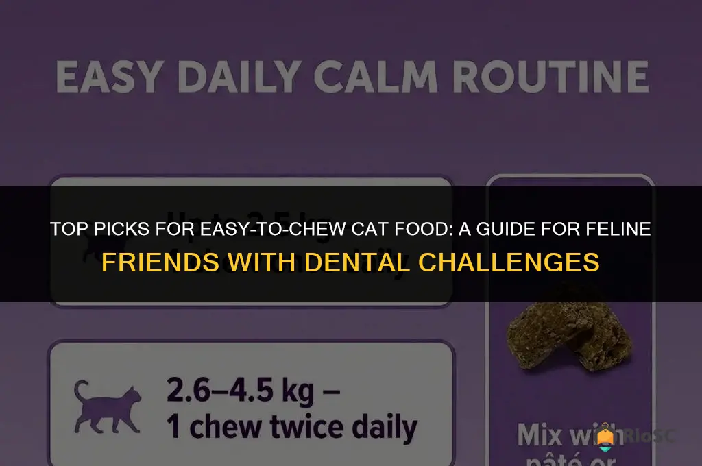 best cat food for cat has hard time chewing