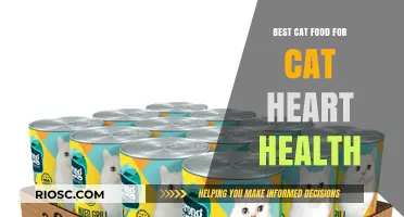 Nourishing Feline Hearts: A Guide to the Best Cat Food for Optimal Cardiac Health