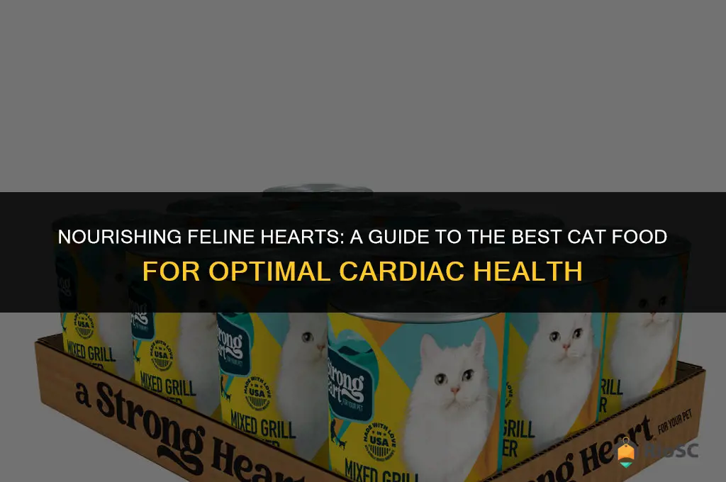 best cat food for cat heart health