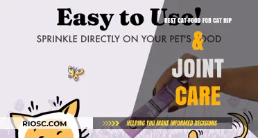 Purr-fect Nutrition: Top Cat Food Picks for Hip and Joint Health