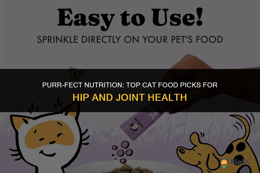 best cat food for cat hip & joint care