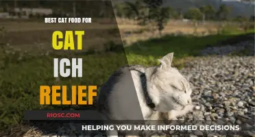 Top Picks for Feline Nutrition: Best Cat Food to Alleviate Cat ICH Symptoms