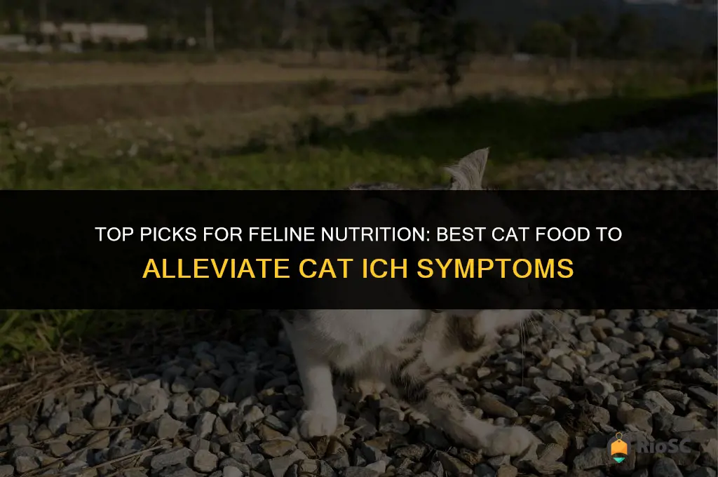best cat food for cat ich relief