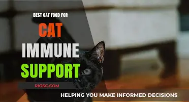 Boosting Feline Health: Top Cat Food Choices for Immune Support