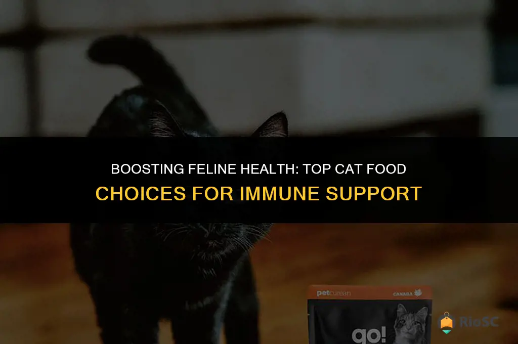 best cat food for cat immune support