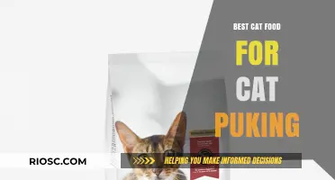 Top Picks for Sensitive Stomachs: The Best Cat Food to Help Reduce Vomiting
