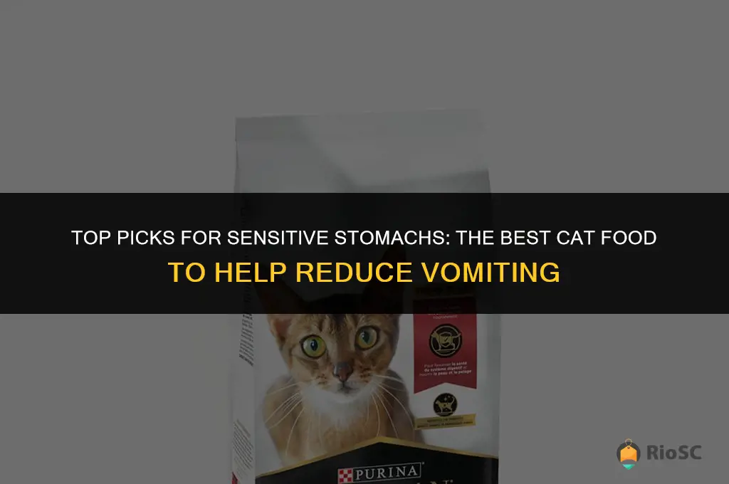 best cat food for cat puking