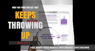 Top Picks for Sensitive Stomachs: The Best Cat Food to Prevent Vomiting