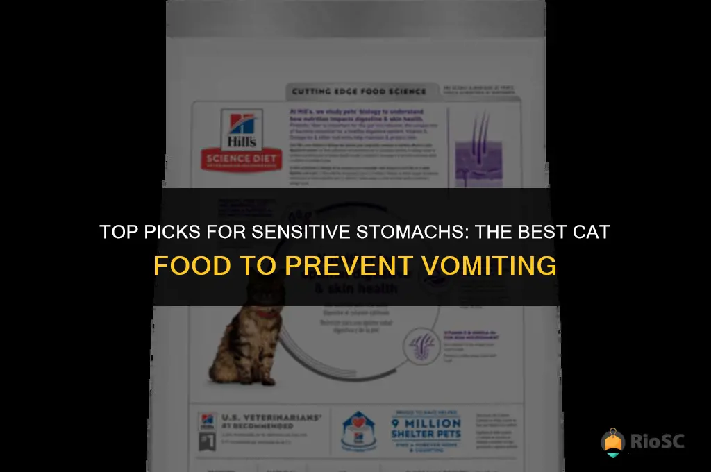 best cat food for cat that keeps throwing up