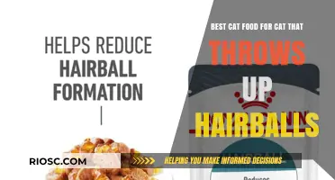 Top Picks for Hairball-Prone Cats: The Ultimate Guide to Hairball-Reducing Cat Food