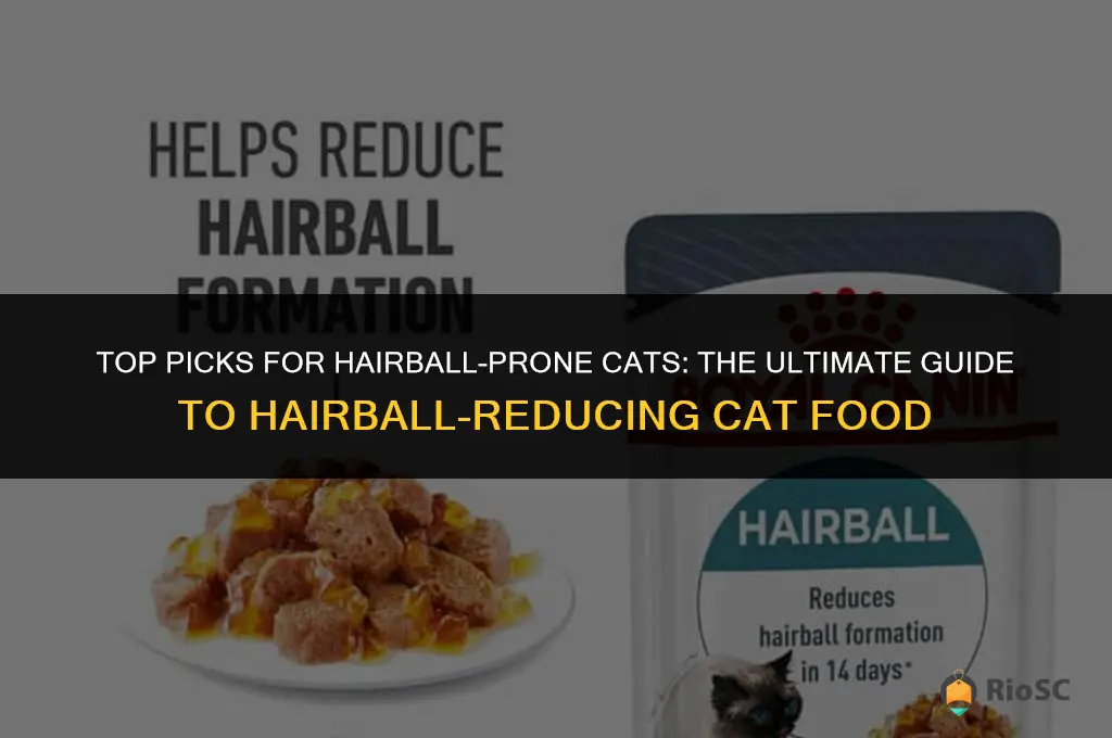 best cat food for cat that throws up hairballs