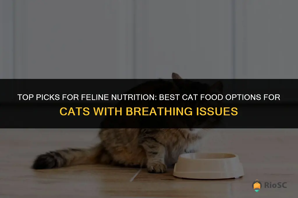 best cat food for cat with breathing problems