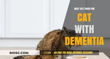 Nutritional Strategies for Feline Cognitive Health: A Guide to the Best Cat Food for Dementia Care
