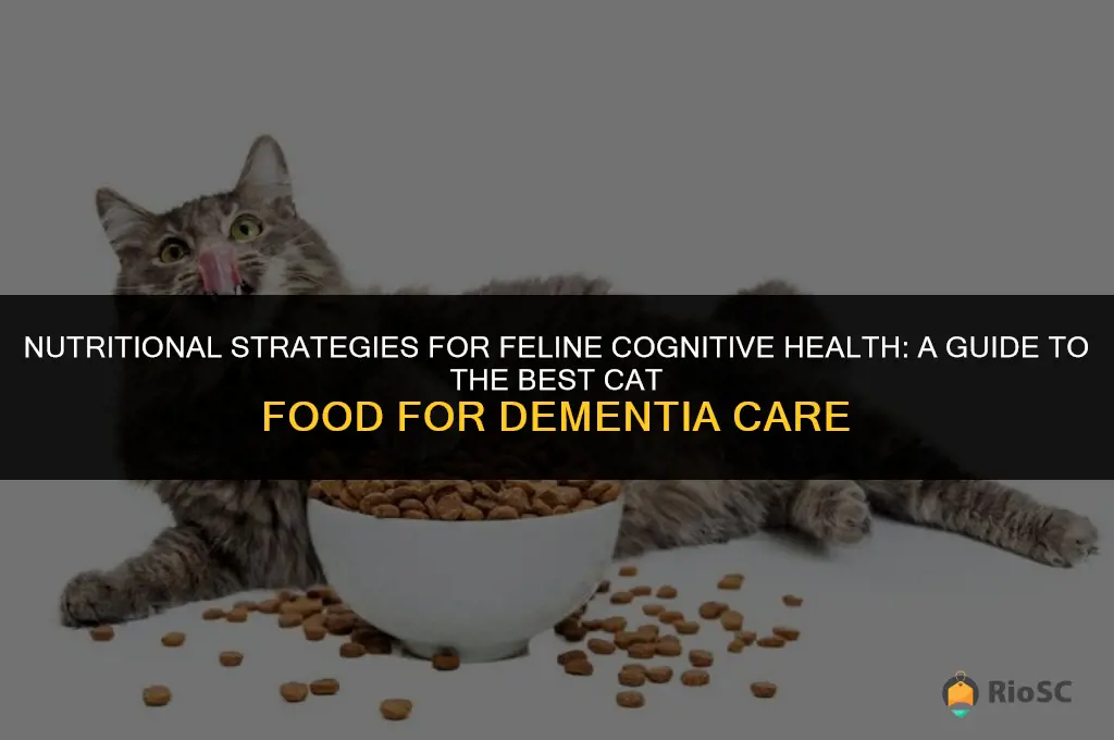 best cat food for cat with dementia