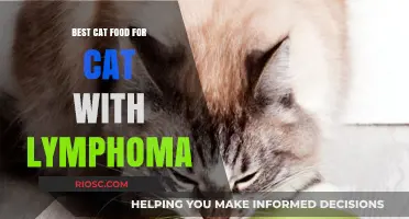 Nutritional Support for Feline Lymphoma Patients: A Guide to the Best Cat Food Choices