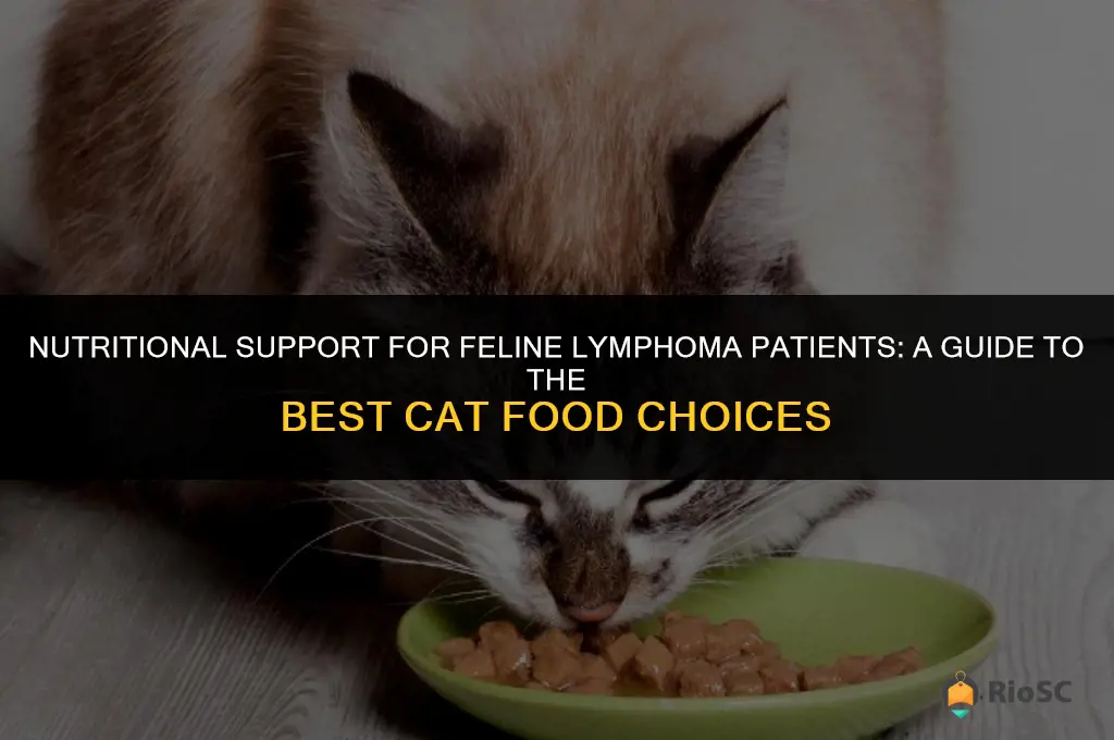 best cat food for cat with lymphoma