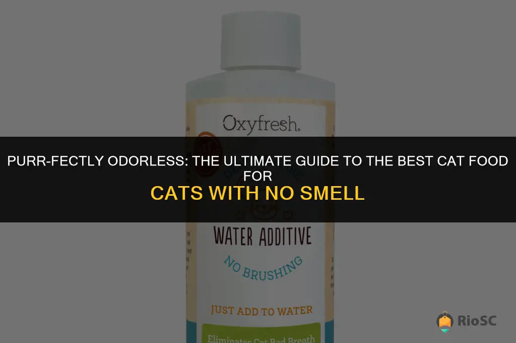 best cat food for cat with no smell