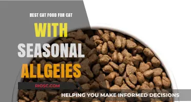 Top Picks for Allergy-Friendly Cat Food: Soothing Seasonal Itches