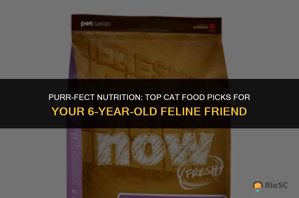 best cat food for cats ages 6