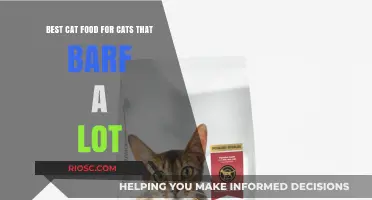 Gentle on the Tummy: Top Cat Food Picks for Sensitive Stomachs