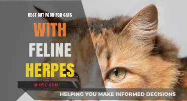 Top Picks for Feline Herpes Sufferers: The Best Cat Food to Support Your Cat's Health