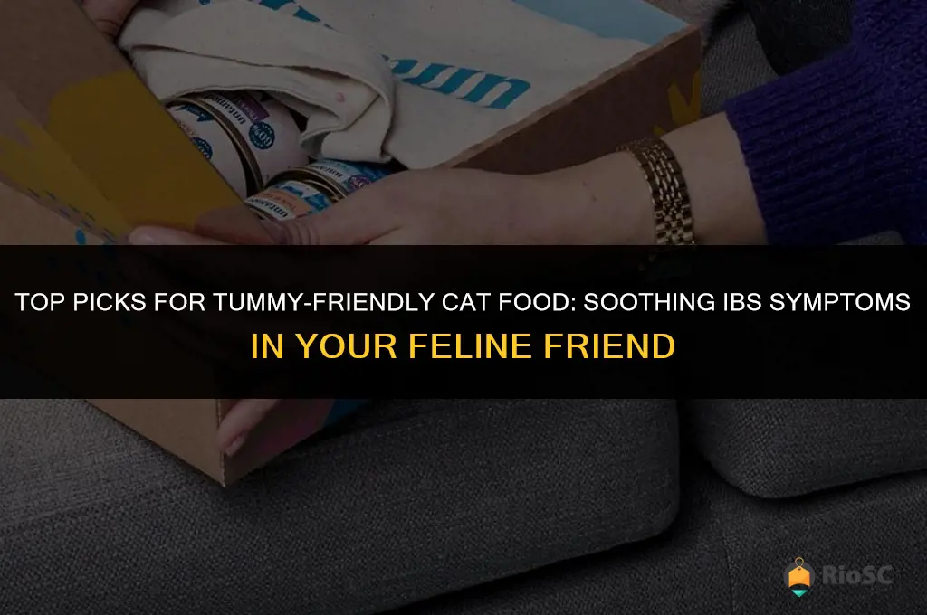 best cat food for cats with ibs