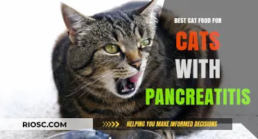Top Picks for Feline Nutrition: Best Cat Food Options for Managing Pancreatitis in Cats
