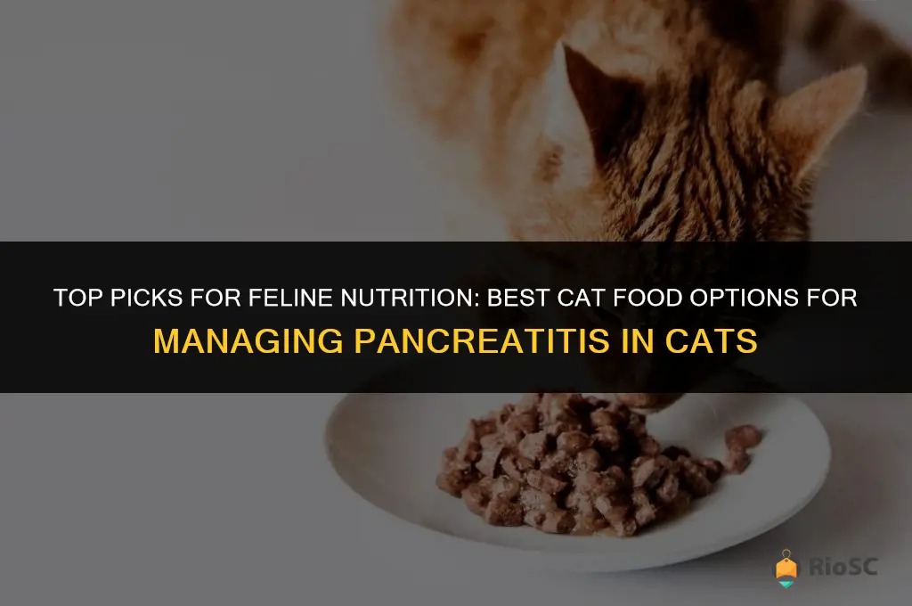 best cat food for cats with pancreatitis
