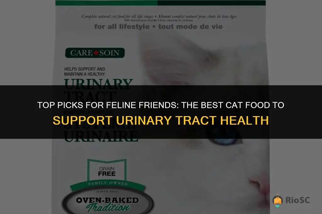 best cat food for cats with uti