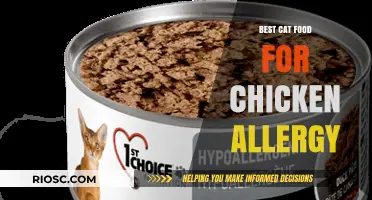Top Picks for Feline Nutrition: Best Cat Food Options for Those with Chicken Allergies